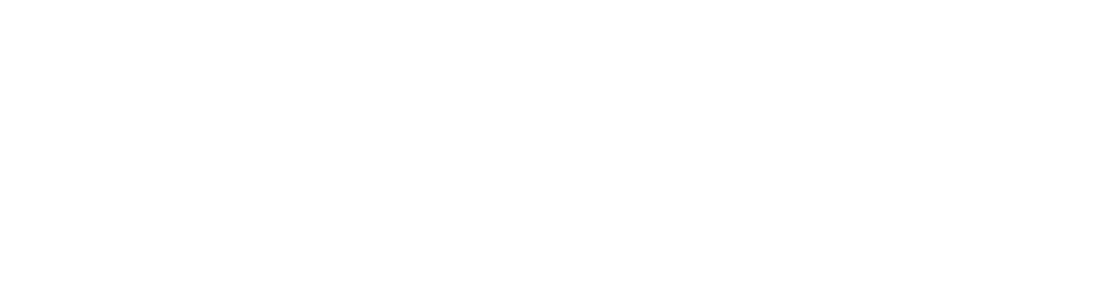 temparary Training